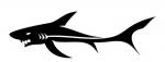 Žralok Ryba Černobílý