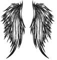 motivy tetování Křídla