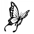 motivy tetování Motýl